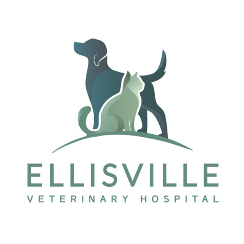 Ellisville Veterinary Hospital